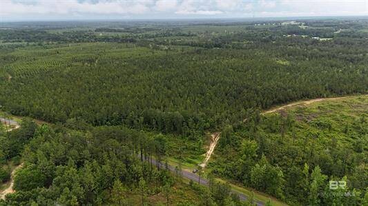 Land for Sale in Baldwin County, AL (8 of 8)