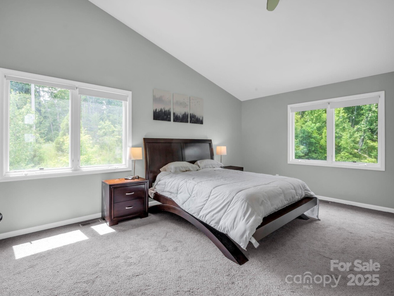 Land for Sale in Rutherford County, NC (22 of 47)