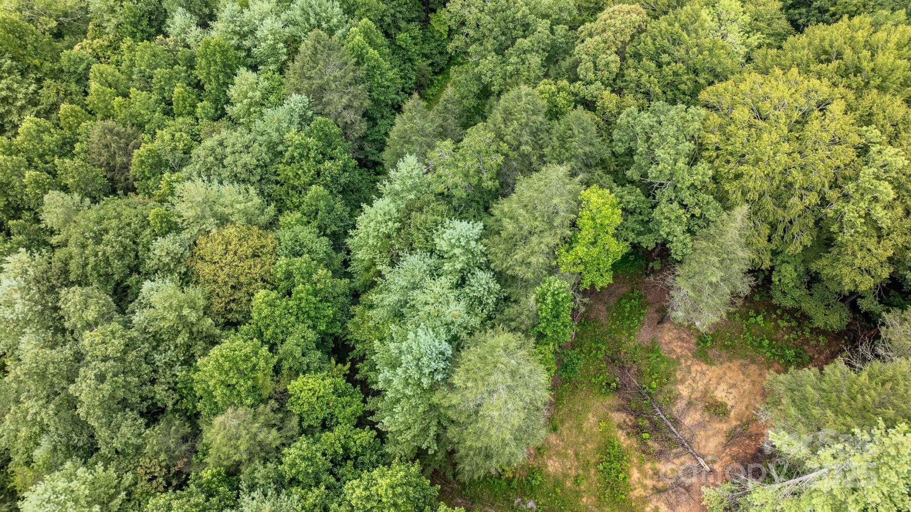 Land for Sale in McDowell County, NC (21 of 36)