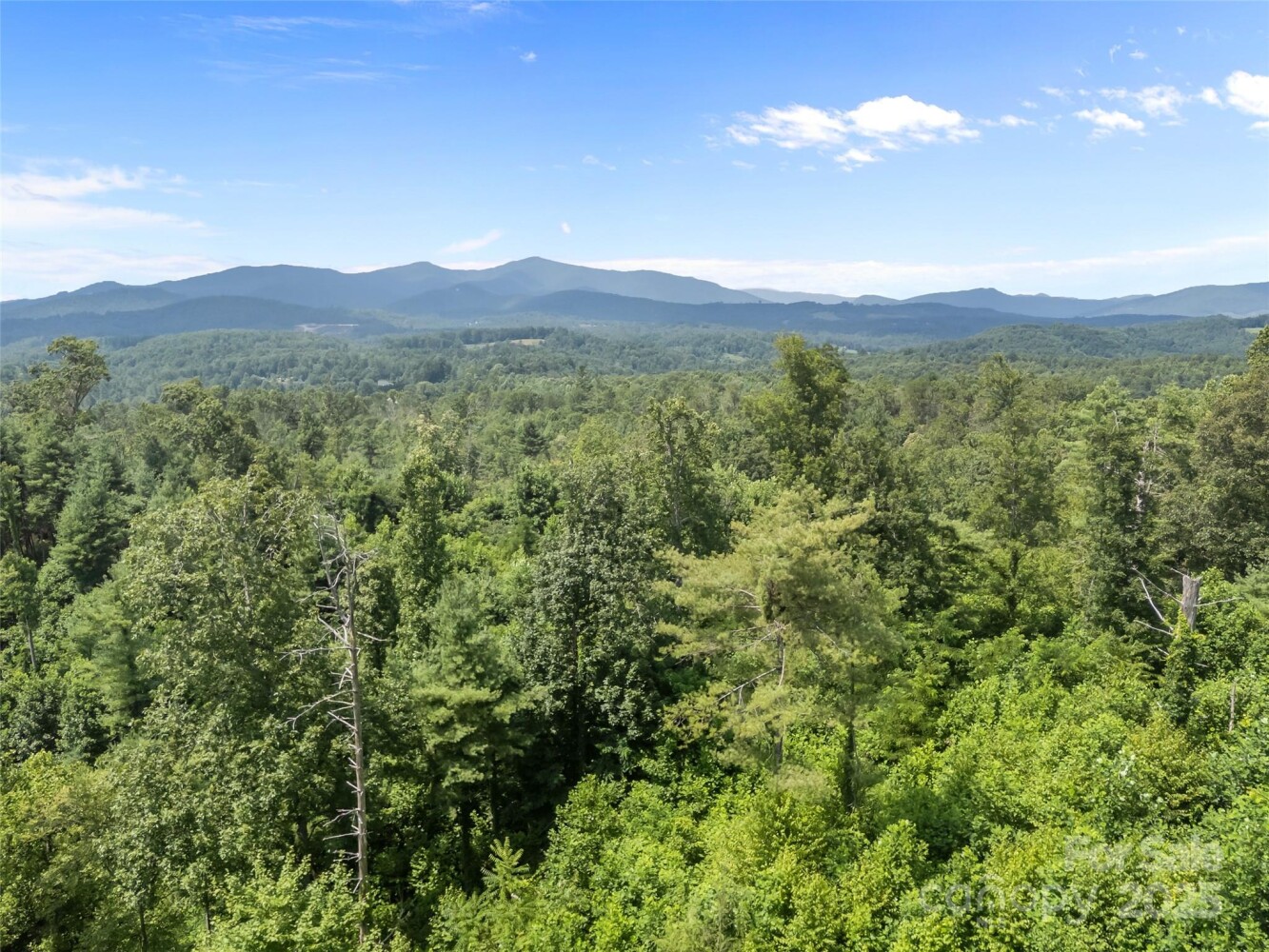 Land for Sale in Mitchell County, NC (10 of 48)