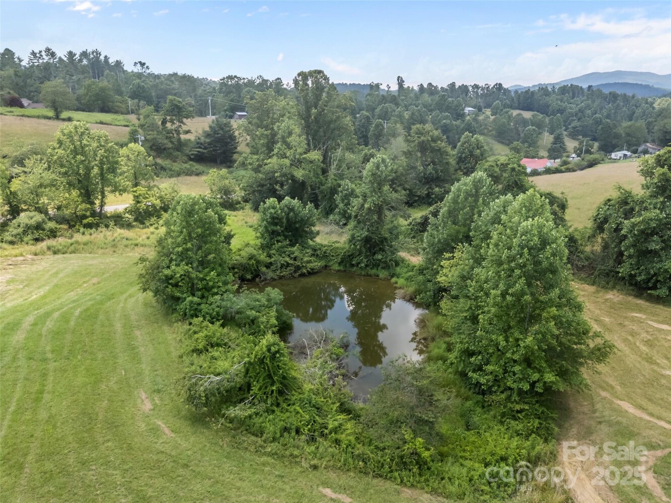 Land for Sale in Mitchell County, NC (16 of 48)
