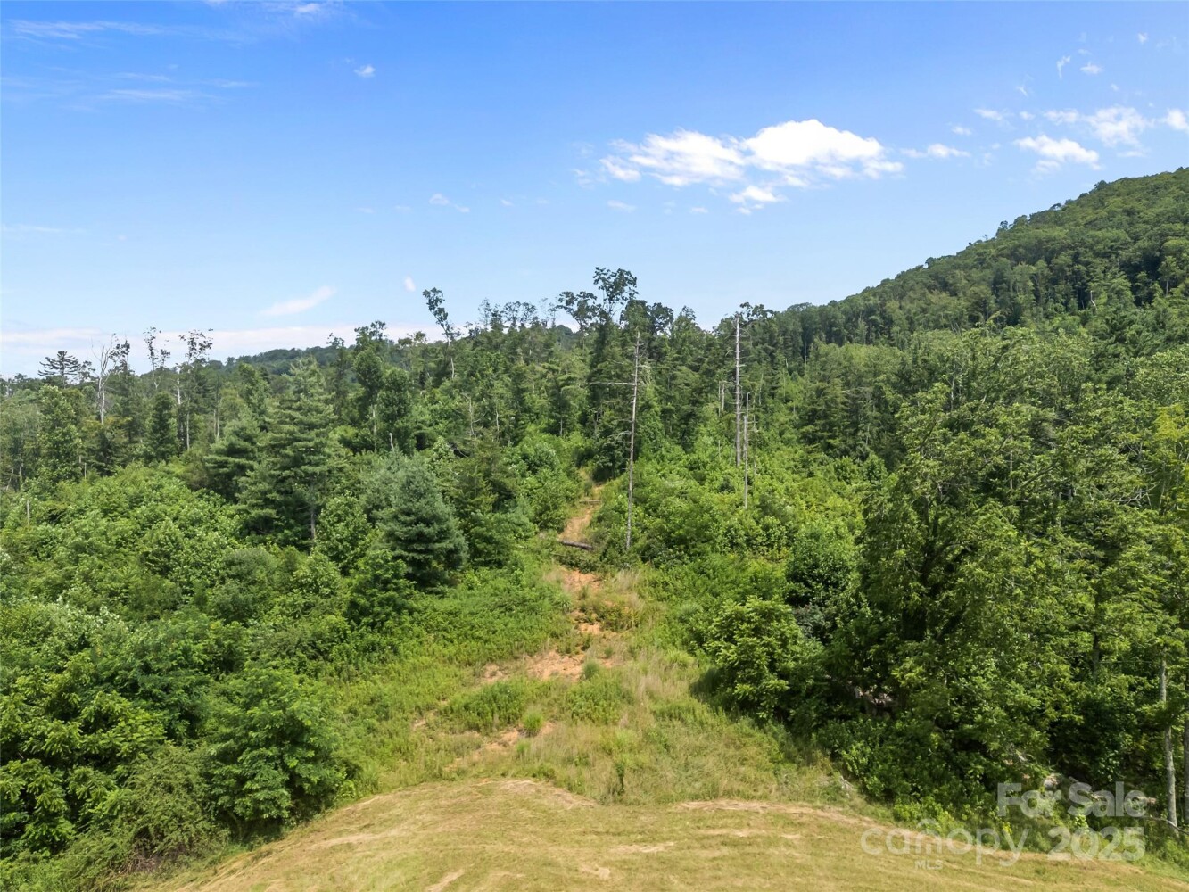 Land for Sale in Mitchell County, NC (18 of 48)