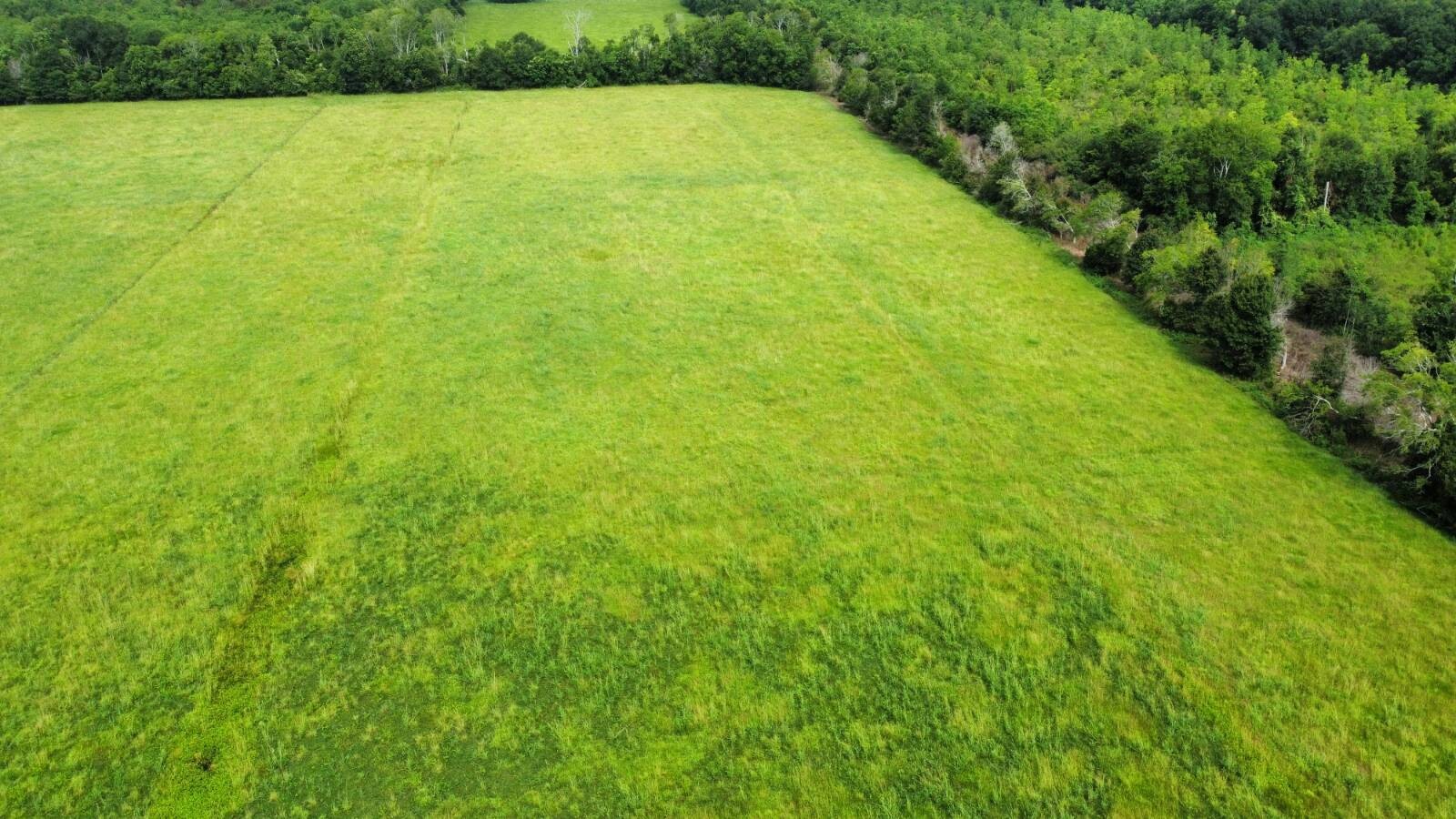 Land for Sale in Acadia Parish, LA (4 of 23)