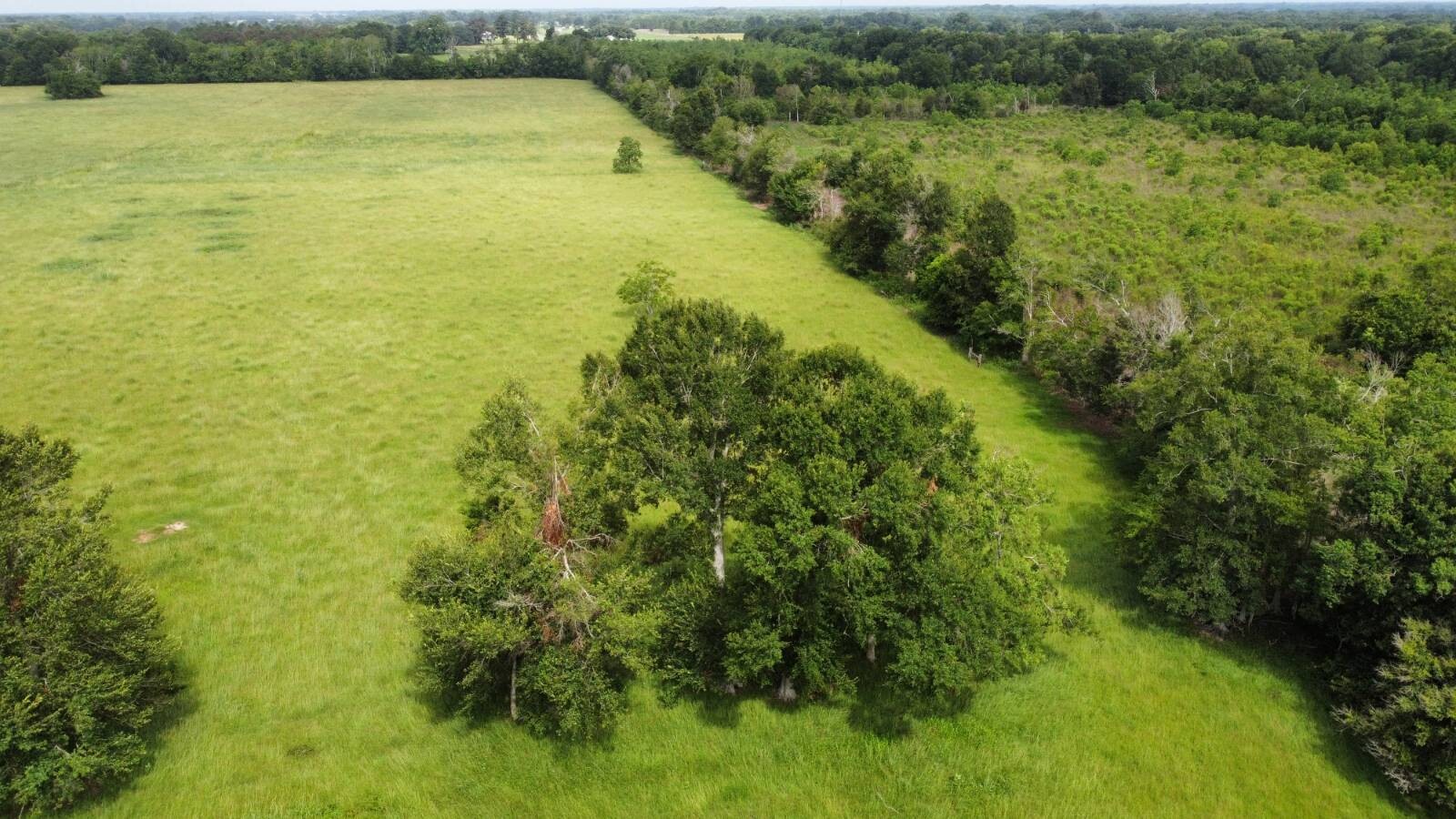 Land for Sale in Acadia Parish, LA (5 of 23)