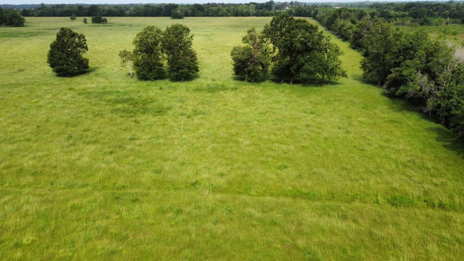 Land for Sale in Acadia Parish, LA (6 of 23)