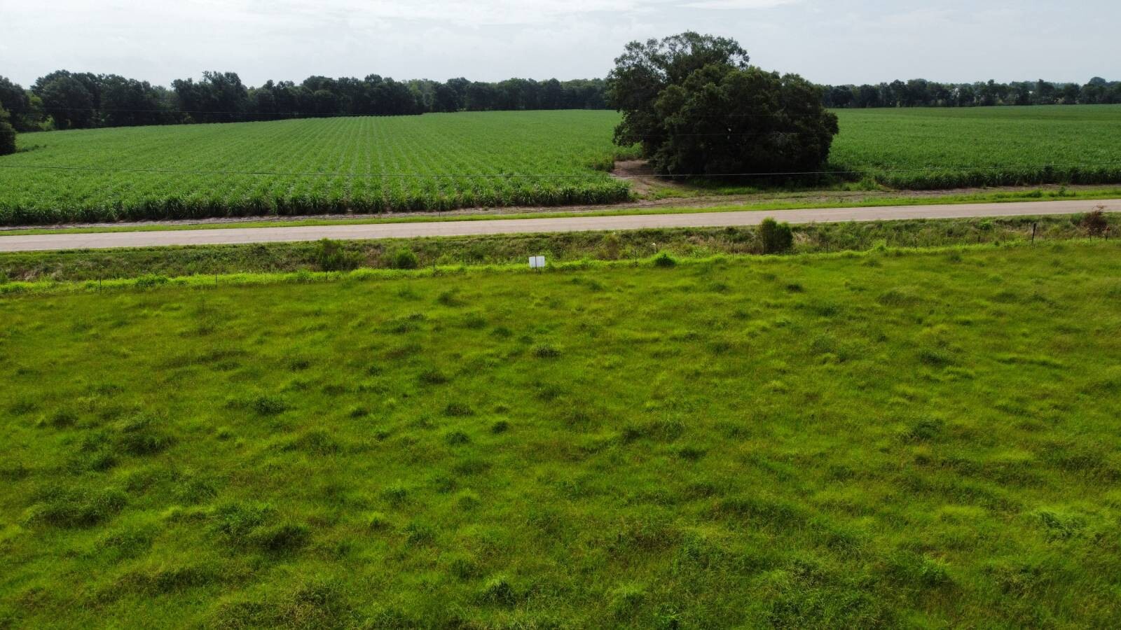 Land for Sale in Acadia Parish, LA (9 of 23)