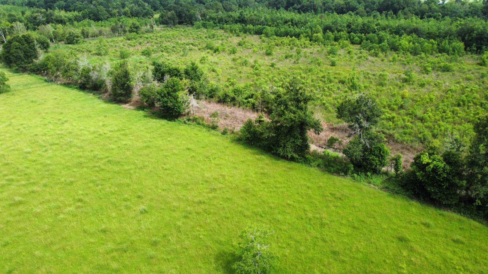 Land for Sale in Acadia Parish, LA (10 of 23)