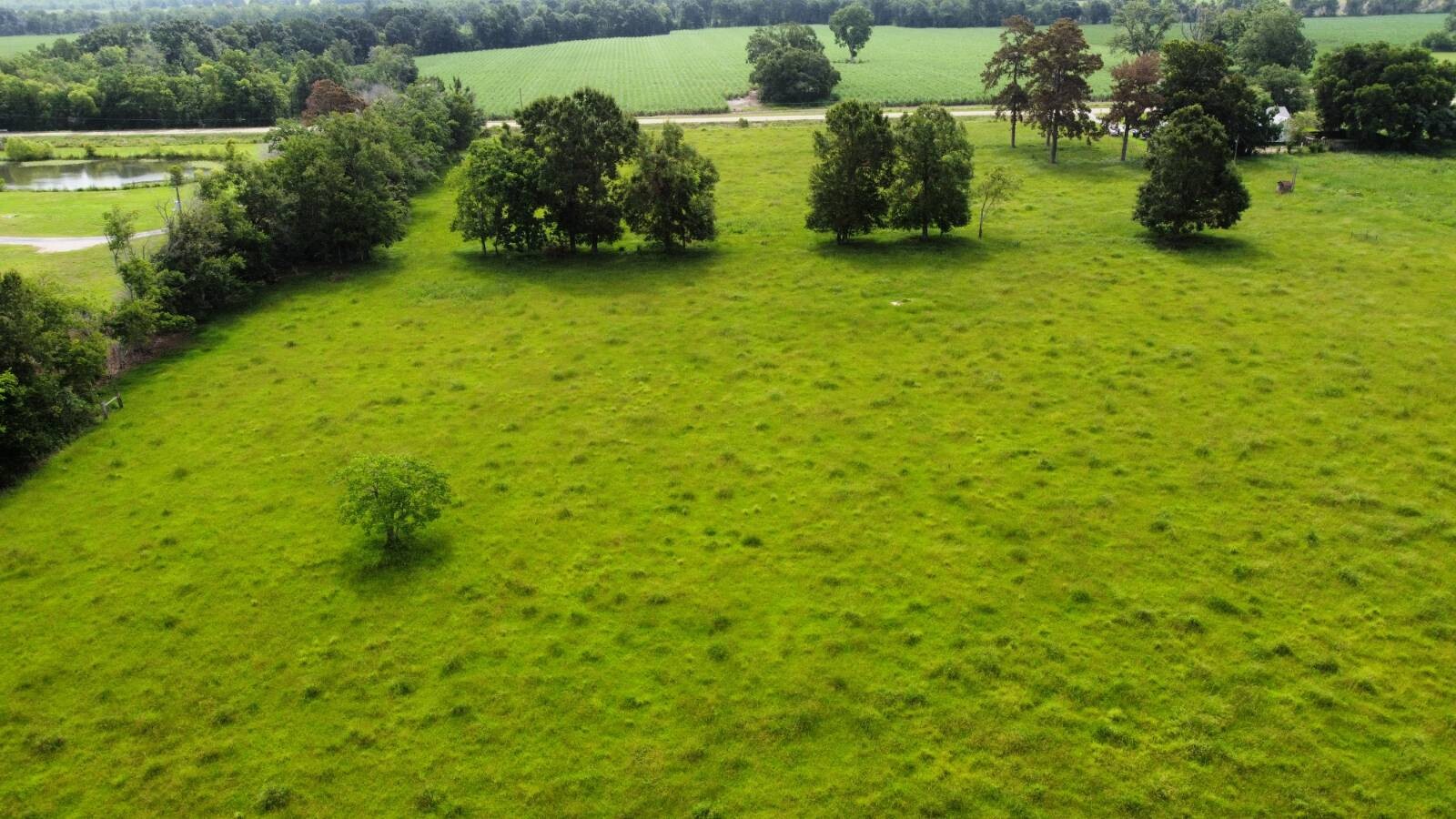 Land for Sale in Acadia Parish, LA (11 of 23)