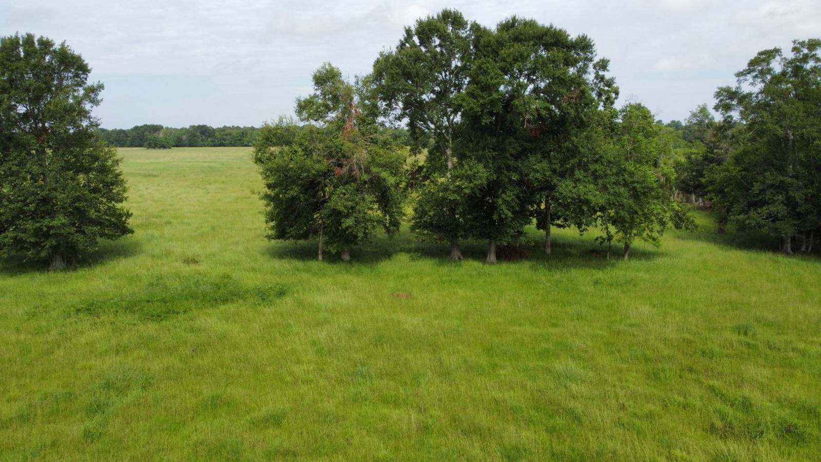 Land for Sale in Acadia Parish, LA (12 of 23)