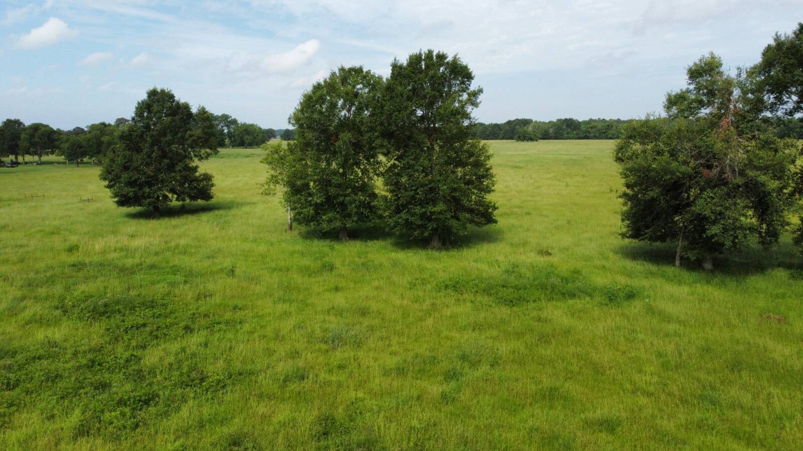 Land for Sale in Acadia Parish, LA (15 of 23)