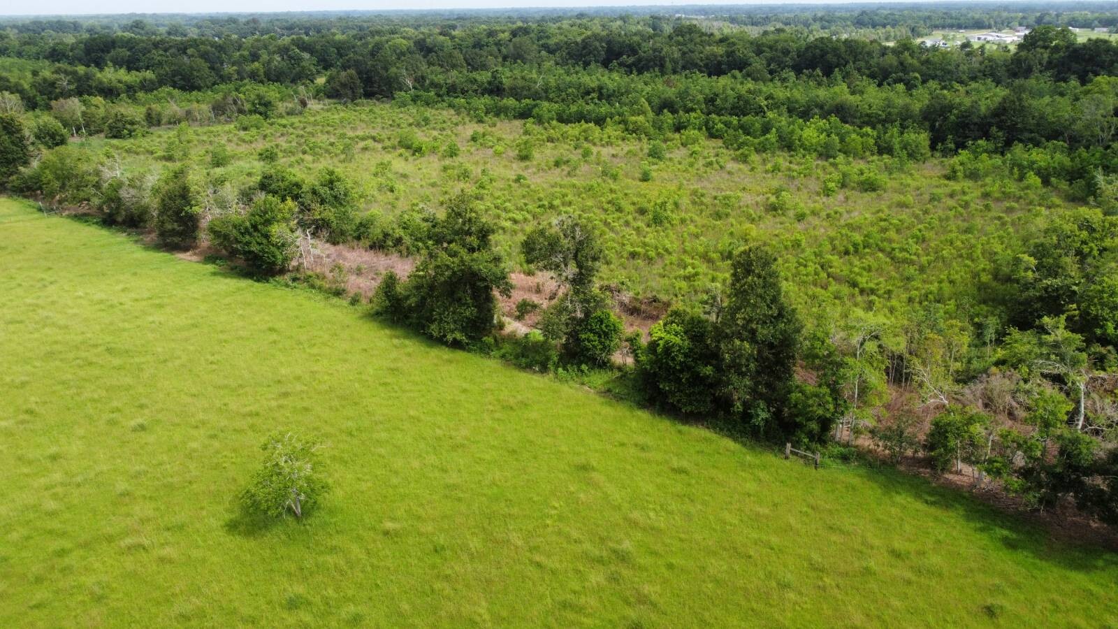 Land for Sale in Acadia Parish, LA (16 of 23)