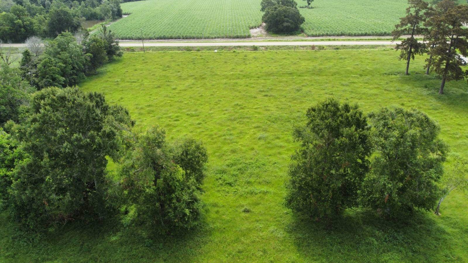 Land for Sale in Acadia Parish, LA (17 of 23)