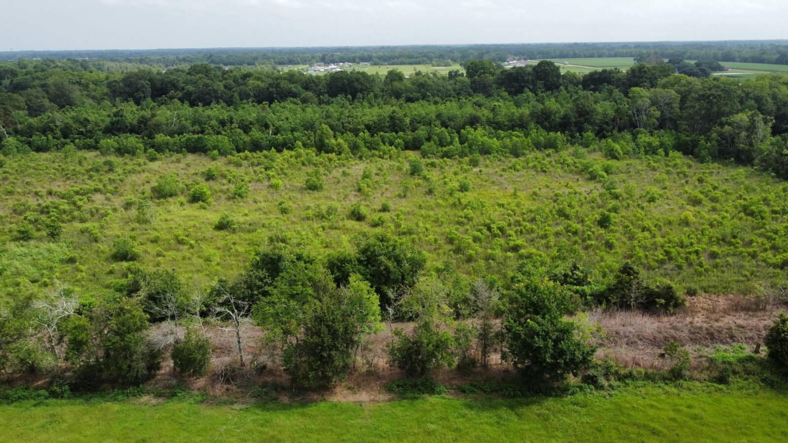 Land for Sale in Acadia Parish, LA (18 of 23)
