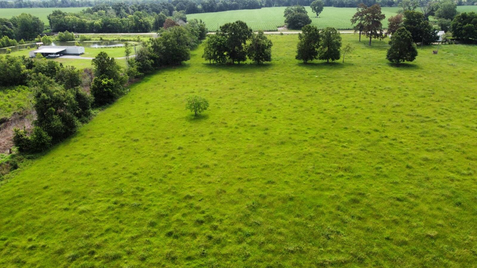 Land for Sale in Acadia Parish, LA (19 of 23)