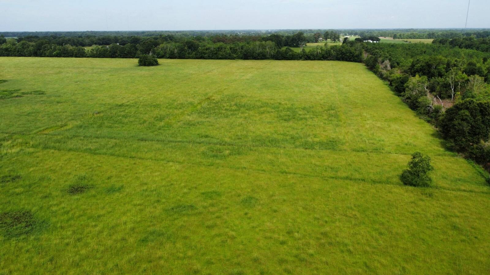 Land for Sale in Acadia Parish, LA (20 of 23)