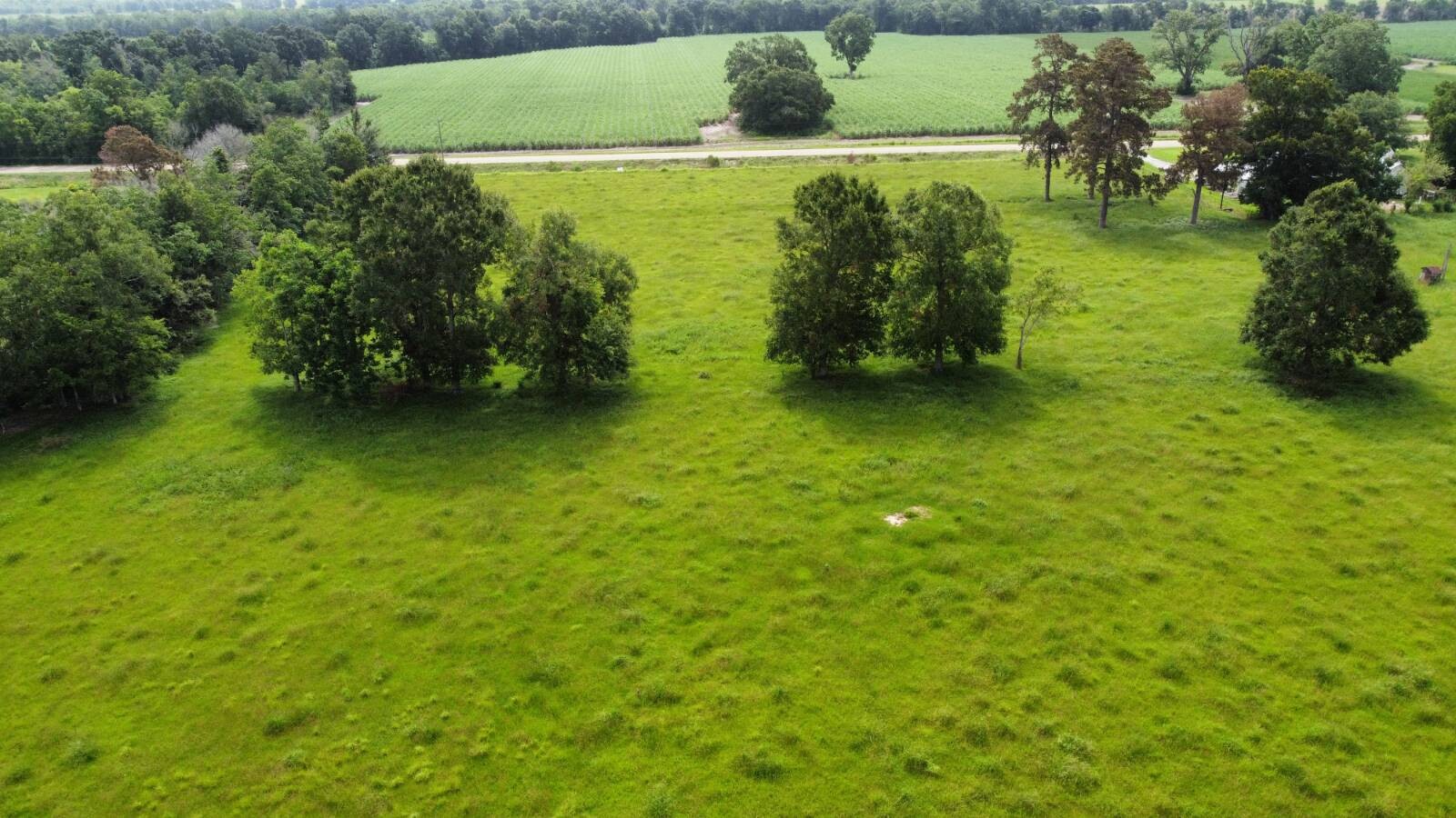 Land for Sale in Acadia Parish, LA (21 of 23)
