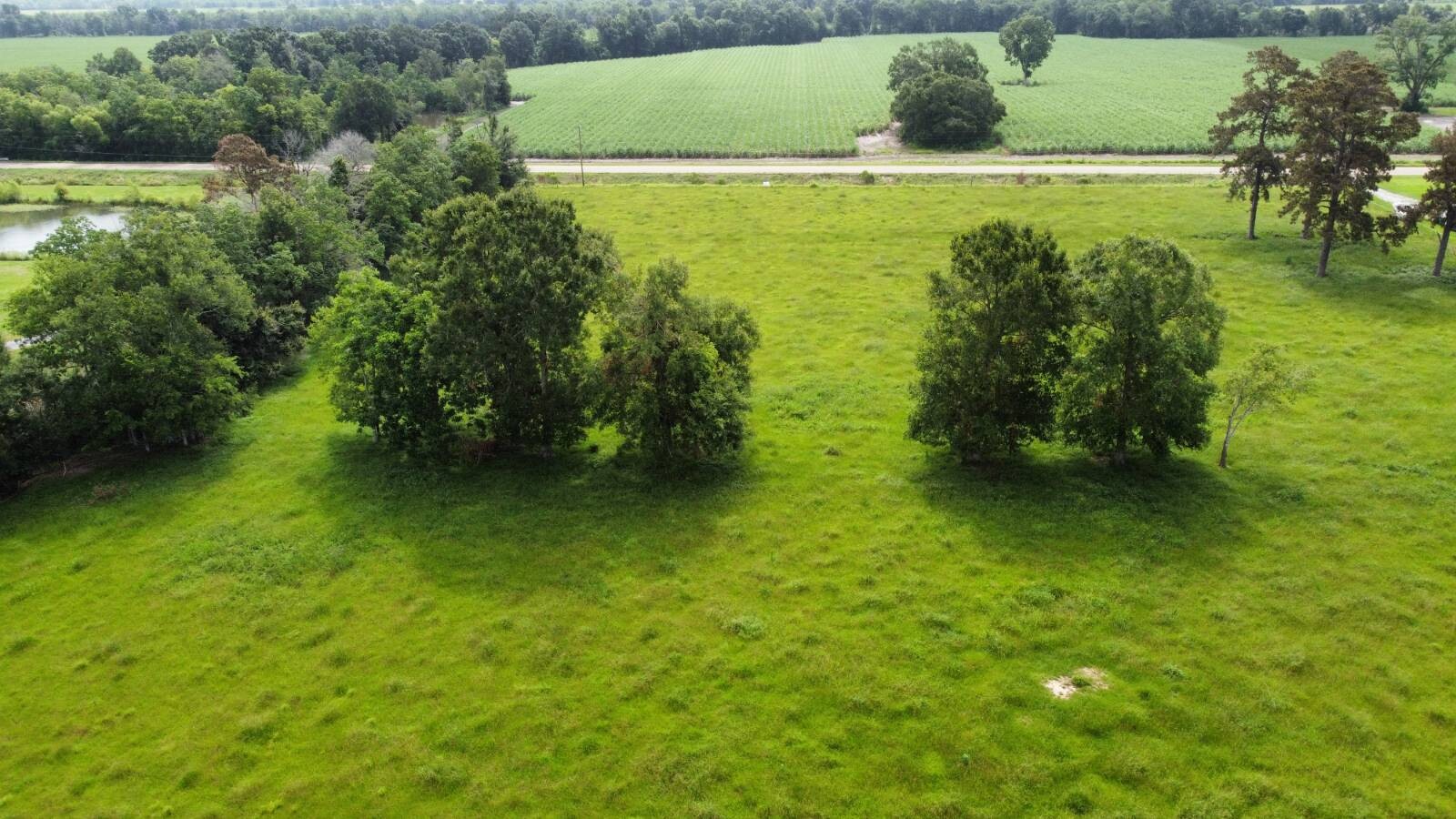 Land for Sale in Acadia Parish, LA (22 of 23)
