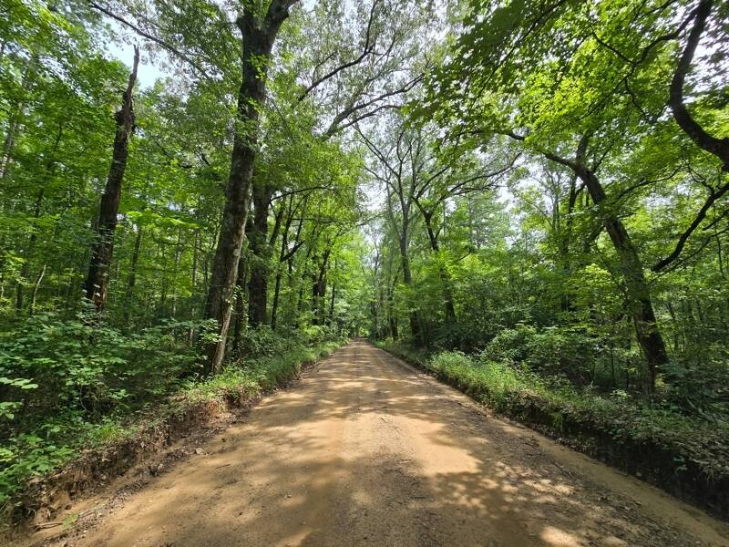 Land for Sale in Le Flore County, OK (4 of 13)