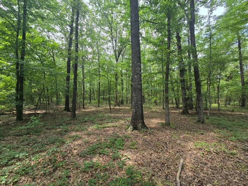 Land for Sale in Le Flore County, OK (6 of 13)