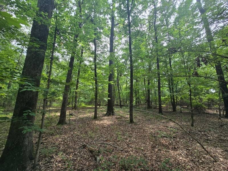 Land for Sale in Le Flore County, OK (7 of 13)