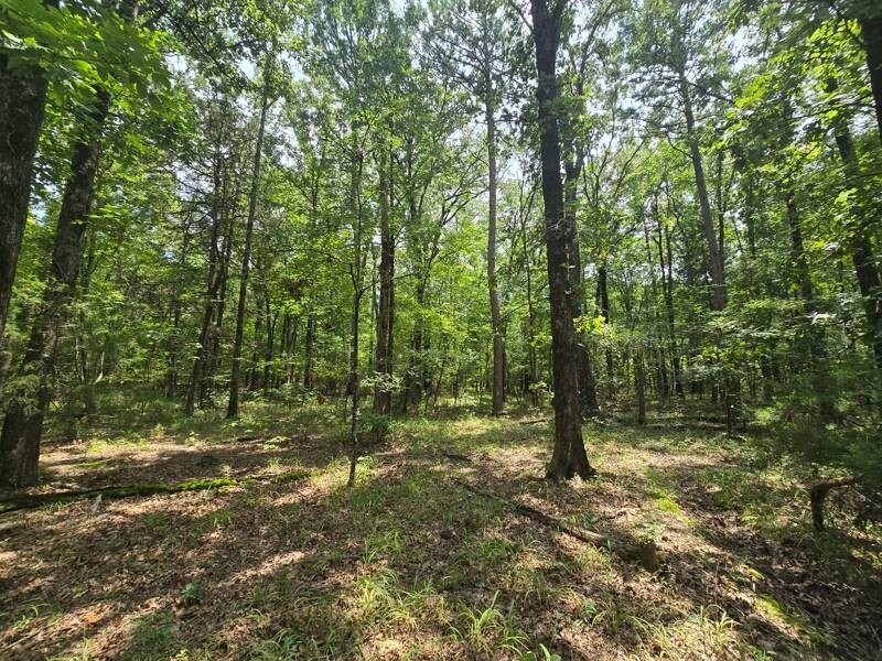 Land for Sale in Le Flore County, OK (8 of 13)