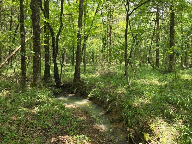 Land for Sale in Le Flore County, OK (9 of 13)
