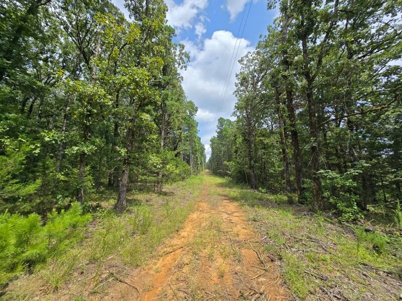 Land for Sale in Le Flore County, OK (11 of 13)