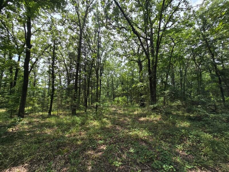 Land for Sale in Le Flore County, OK (13 of 13)
