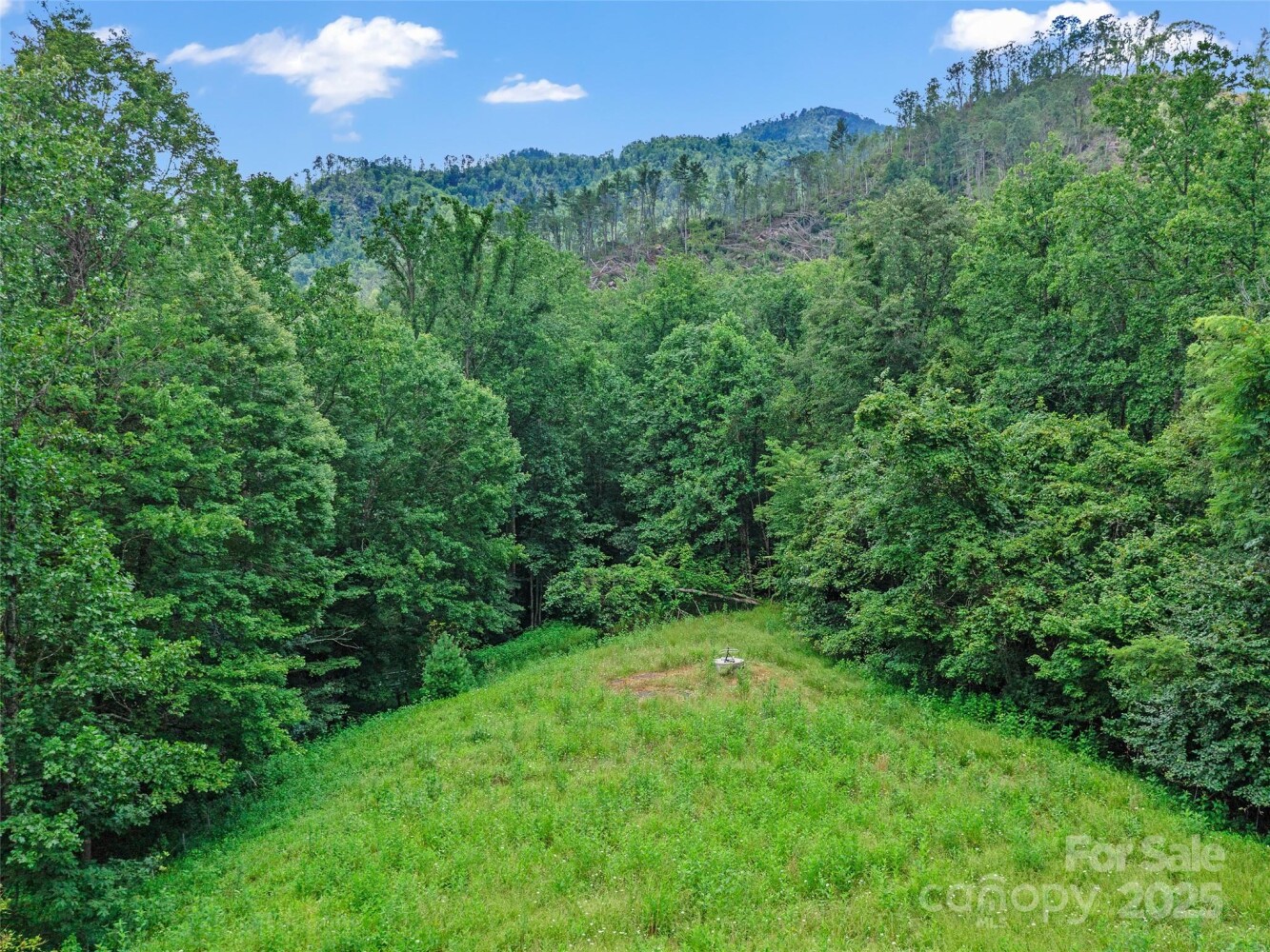 Land for Sale in Mitchell County, NC (30 of 40)