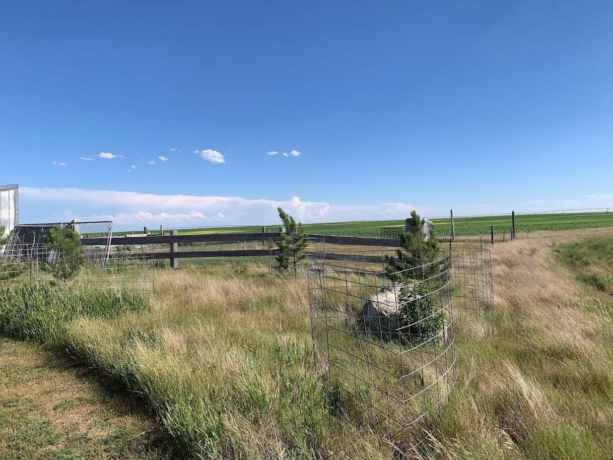 Land for Sale in Box Butte County, NE (53 of 66)