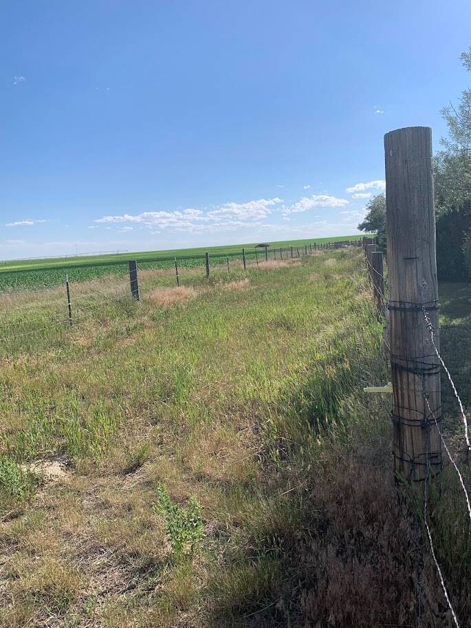 Land for Sale in Box Butte County, NE (60 of 66)