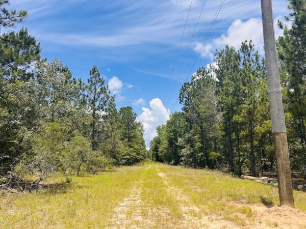 Listing image 11