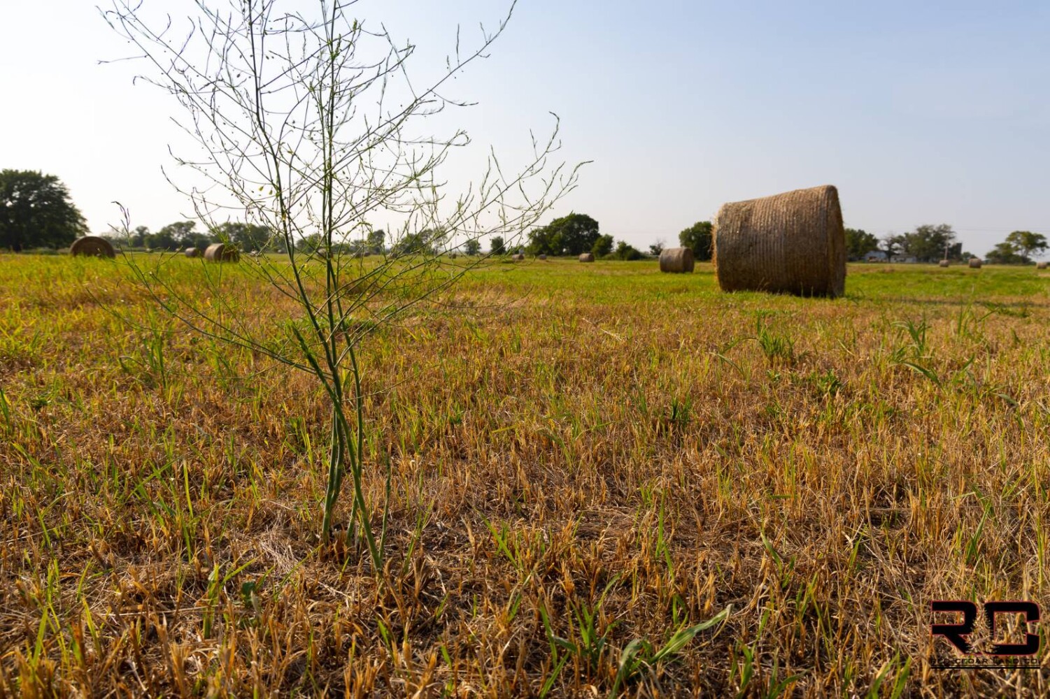 Land for Sale in Labette County, KS (25 of 56)
