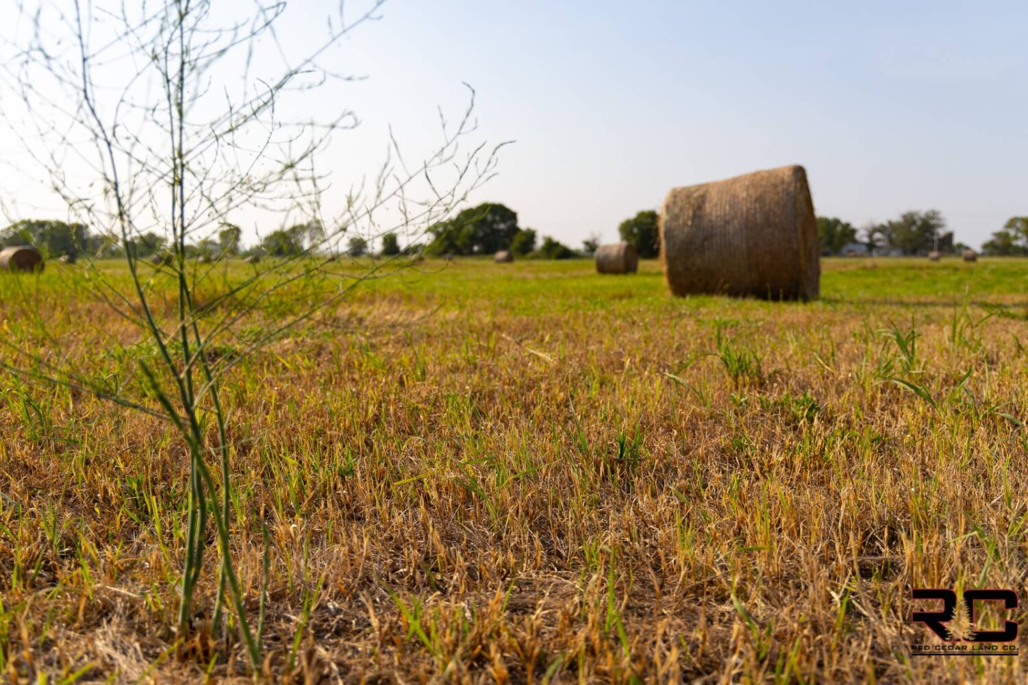 Land for Sale in Labette County, KS (29 of 56)