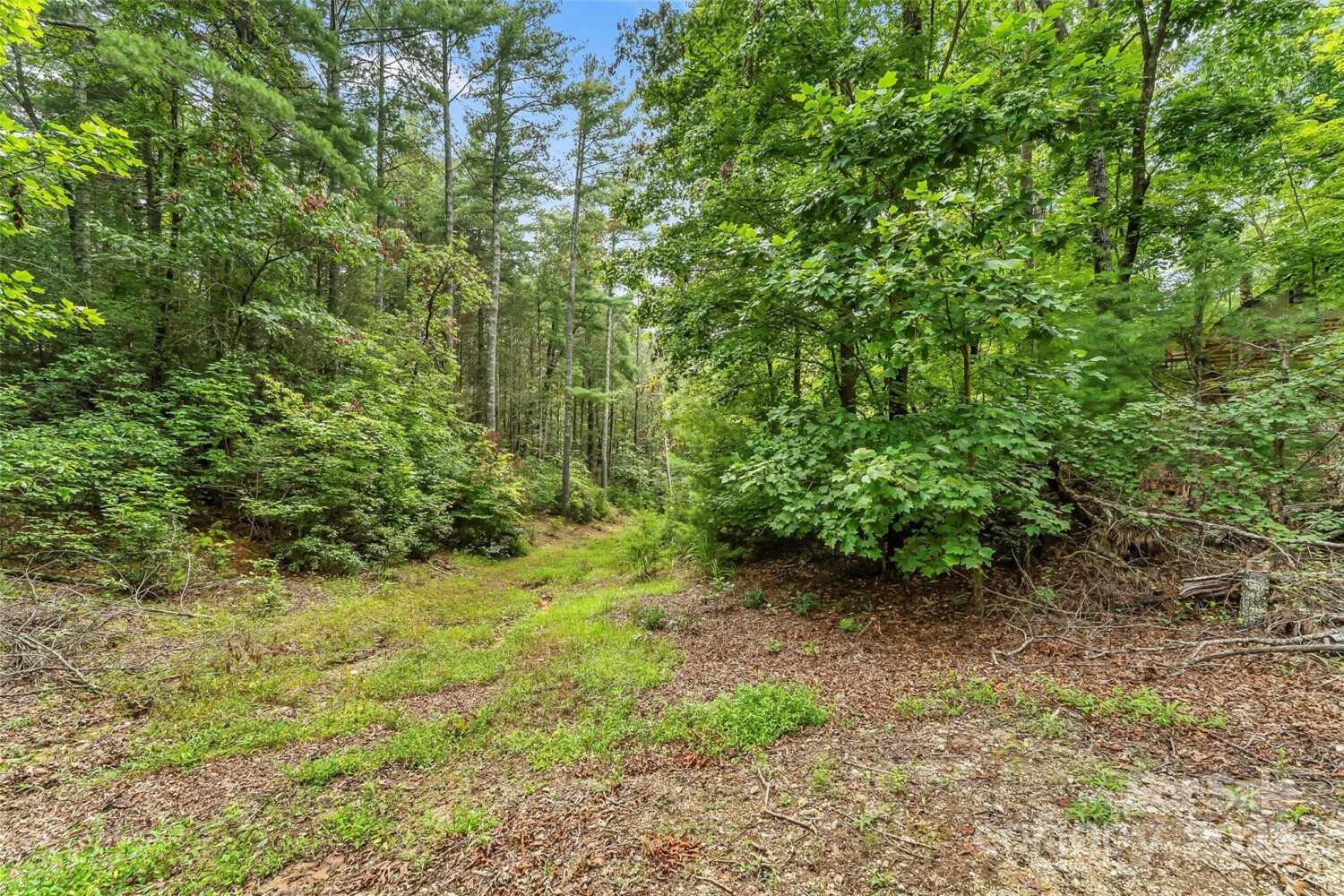 Land for Sale in McDowell County, NC (34 of 48)