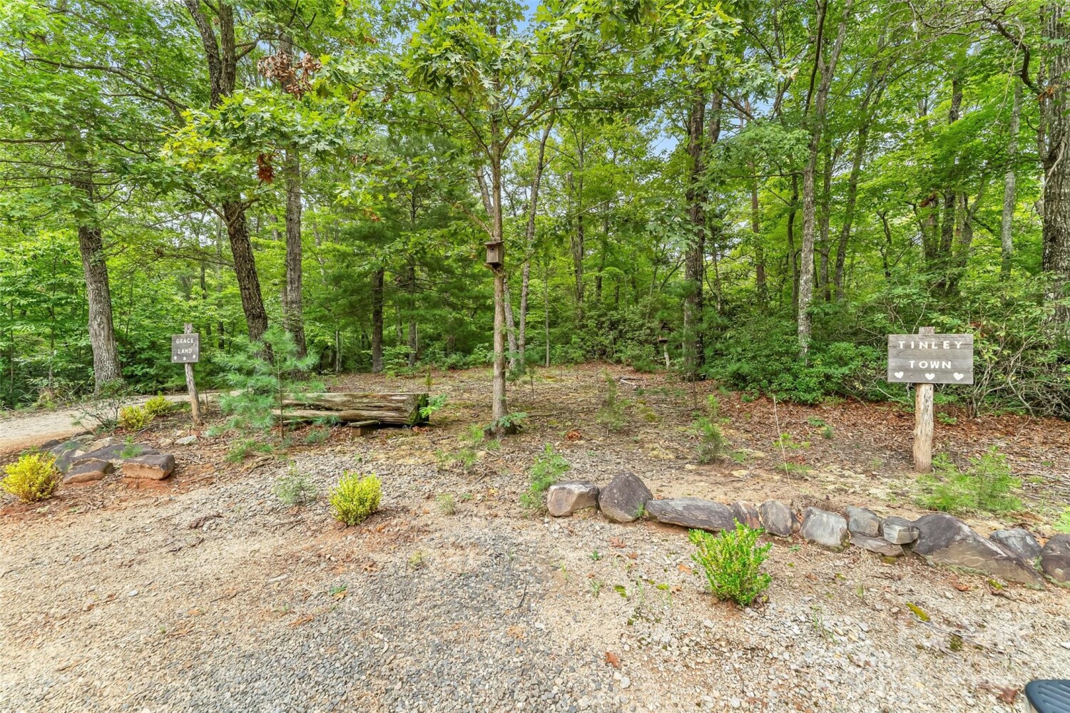 Land for Sale in McDowell County, NC (47 of 48)