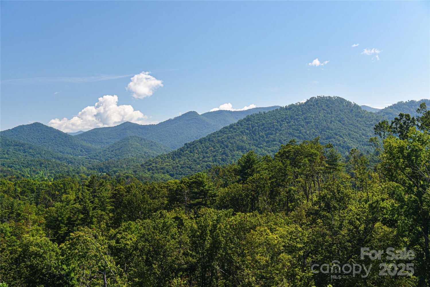 Land for Sale in Buncombe County, NC (37 of 48)