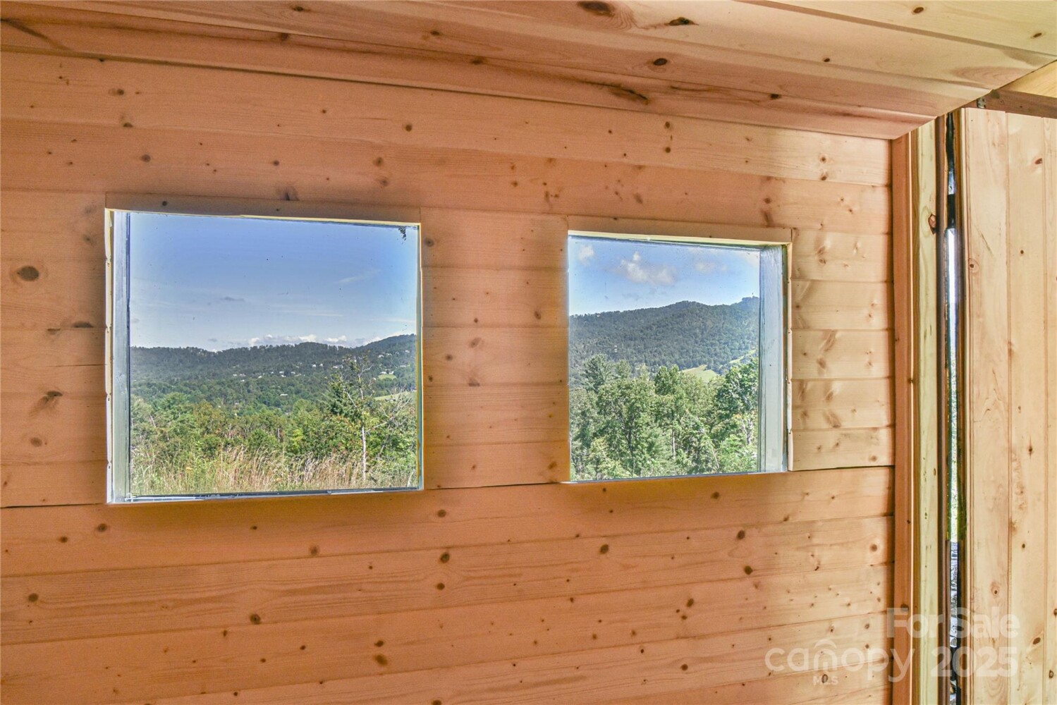Land for Sale in Buncombe County, NC (40 of 48)