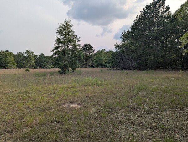 Listing image 0