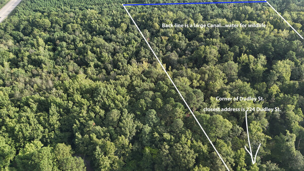 Listing image 7