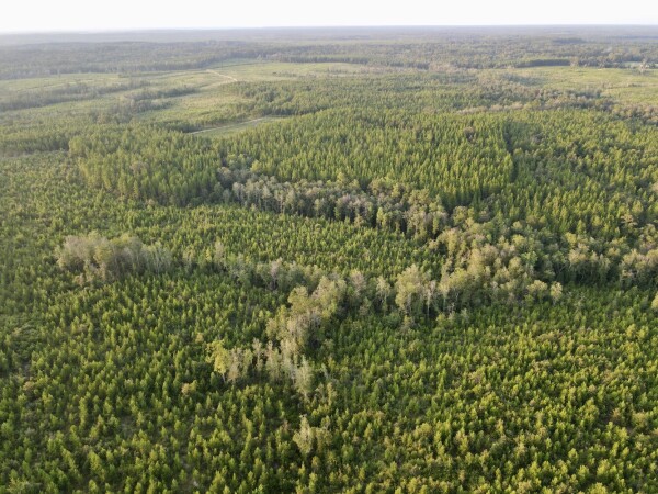 Listing image 8