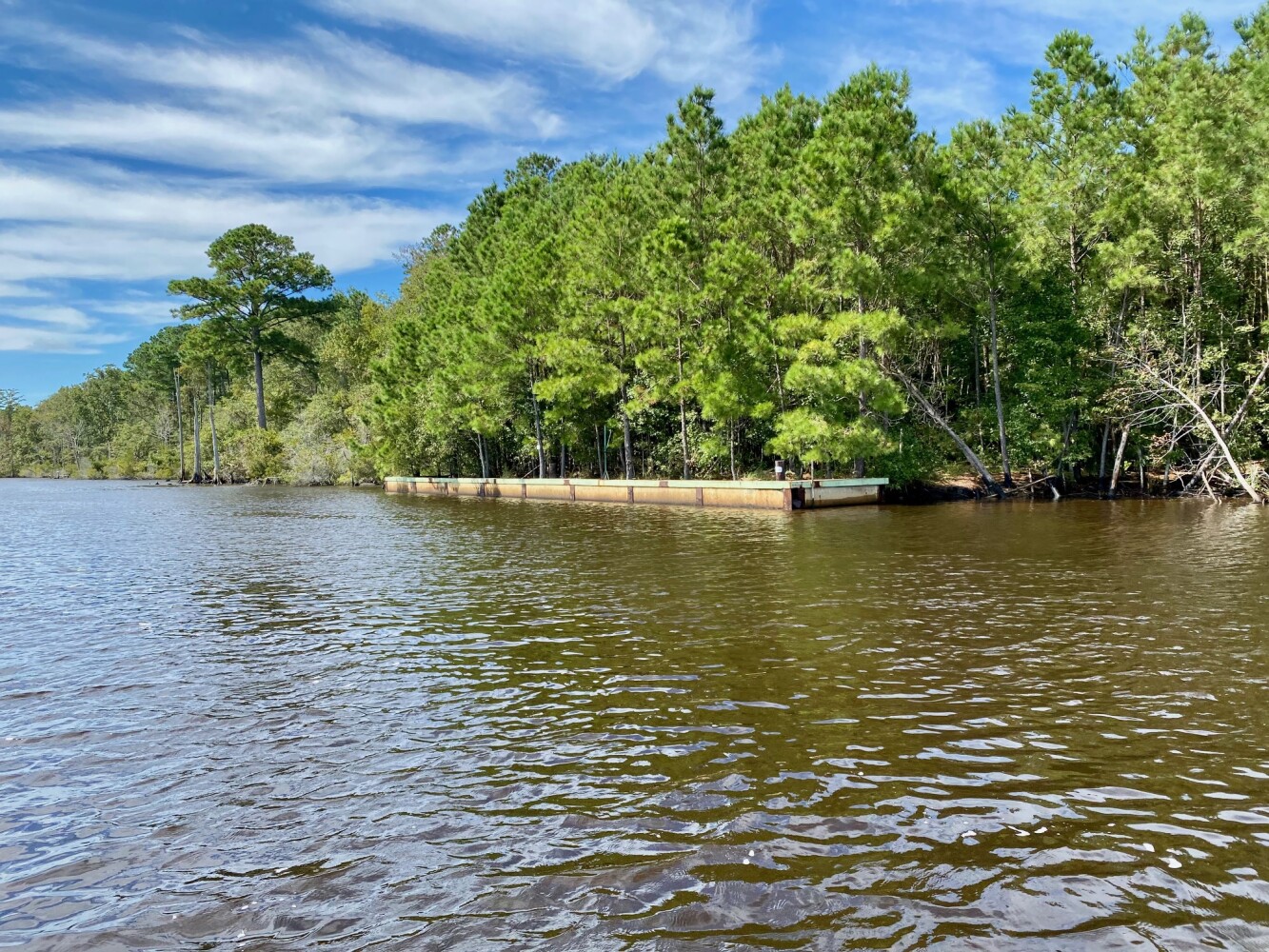 313-315 Clermont Ave UNIT&nbsp;5 and 9, Brooklyn, NY, 11205