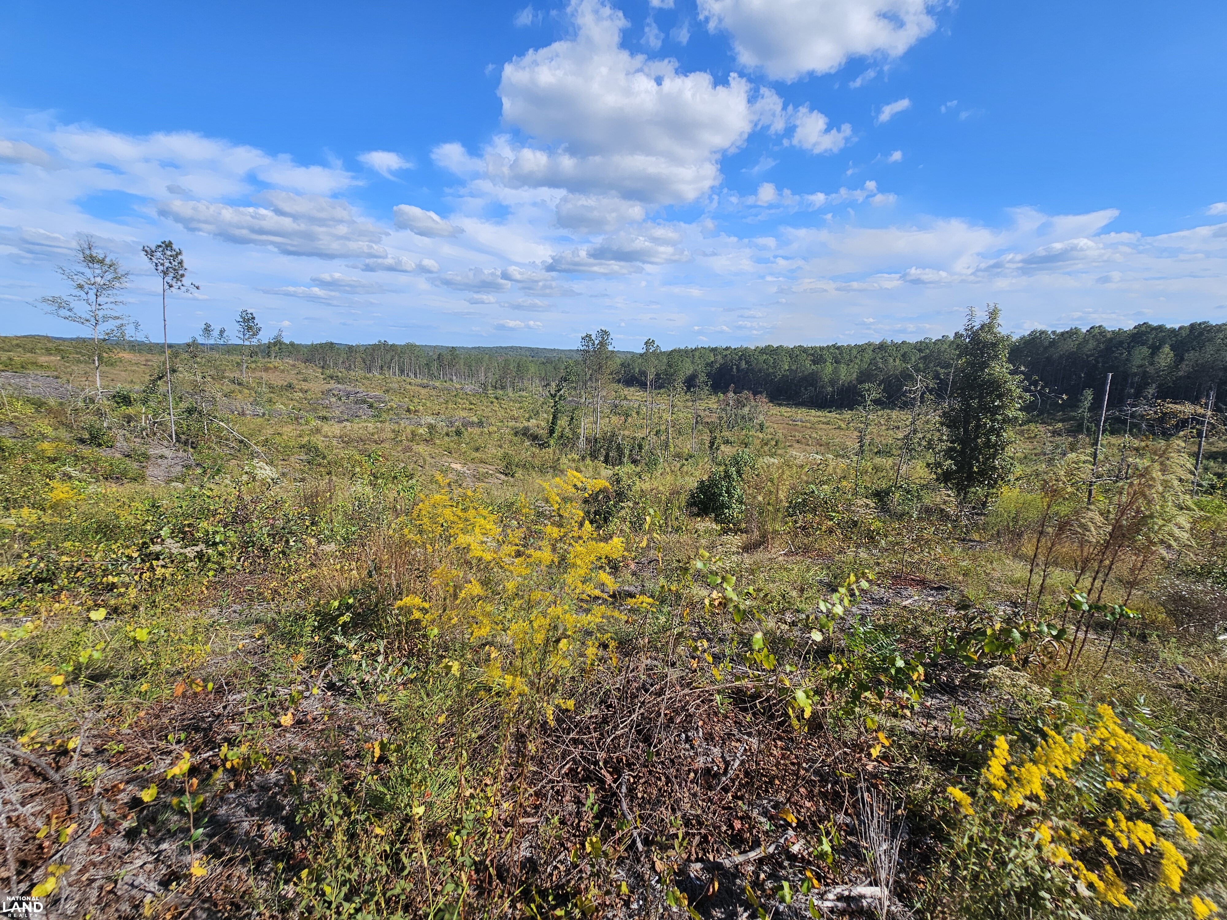 Sulligent Sulligent Hunting and Recreation Property in Lamar County, Alabama (40 ...
