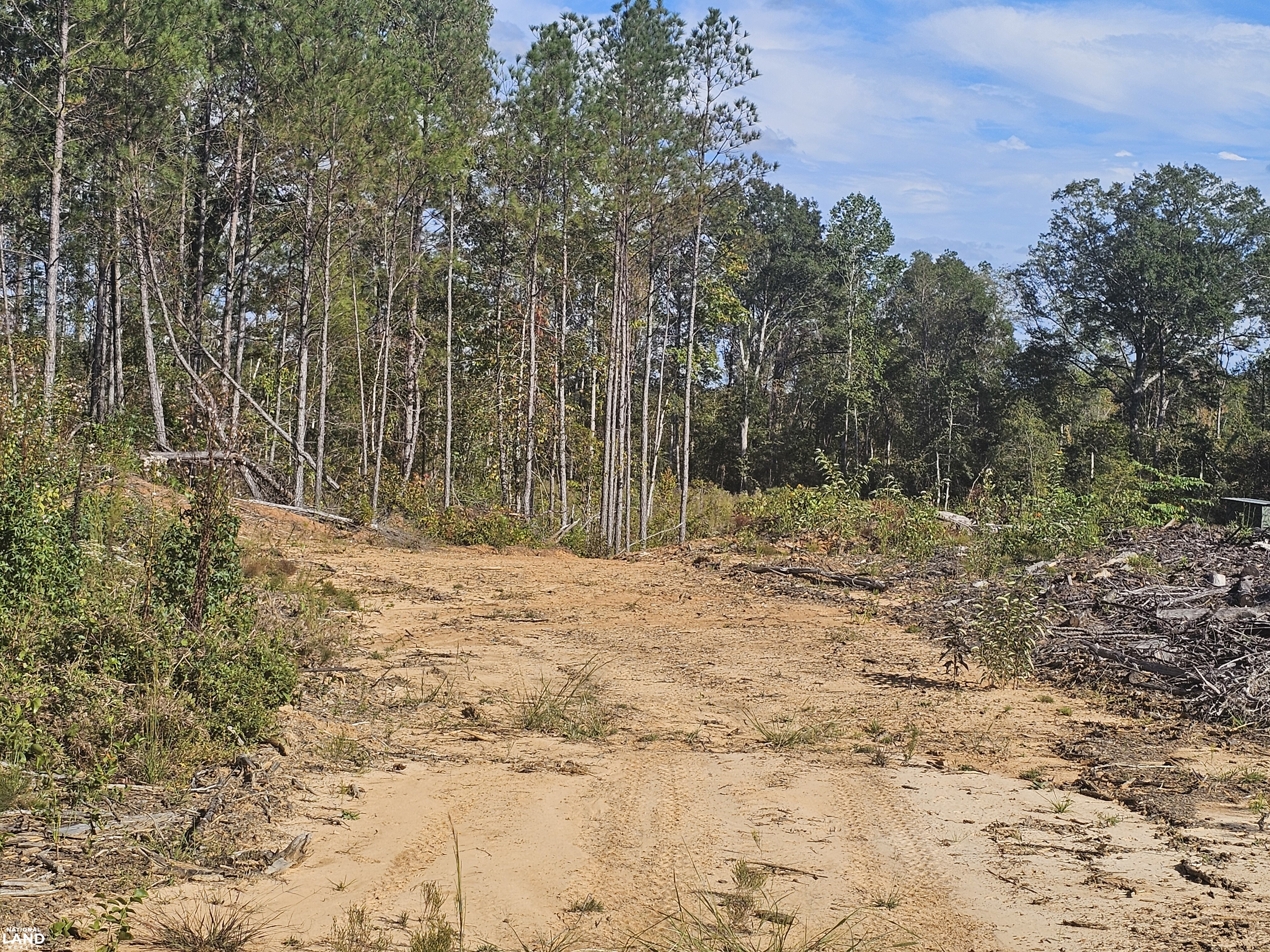 Sulligent Sulligent Hunting and Recreation Property in Lamar County, Alabama (40 ...