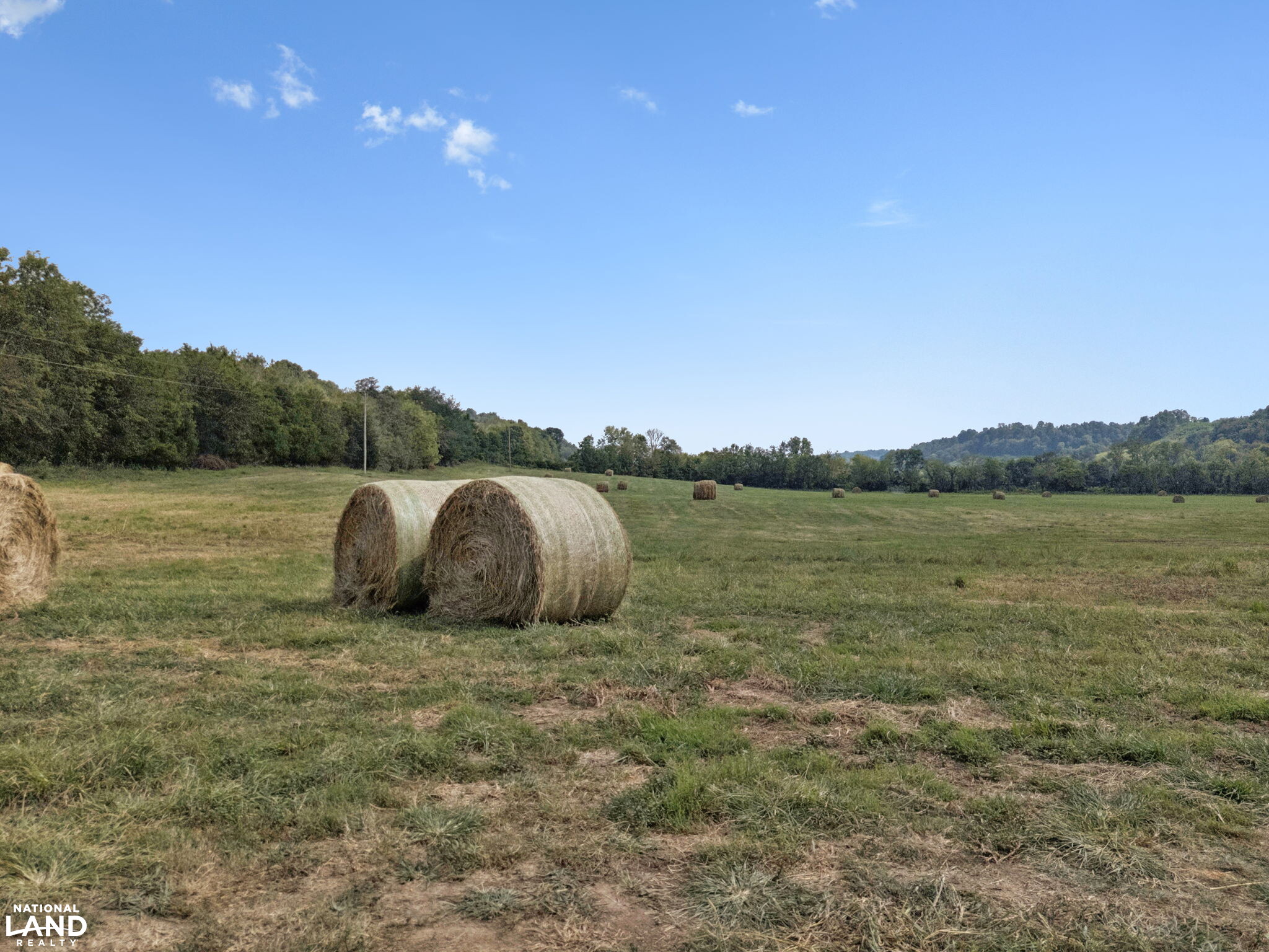 Shoal Creek Ridge Lot 13 in Giles County, Tennessee (12 Photos ...
