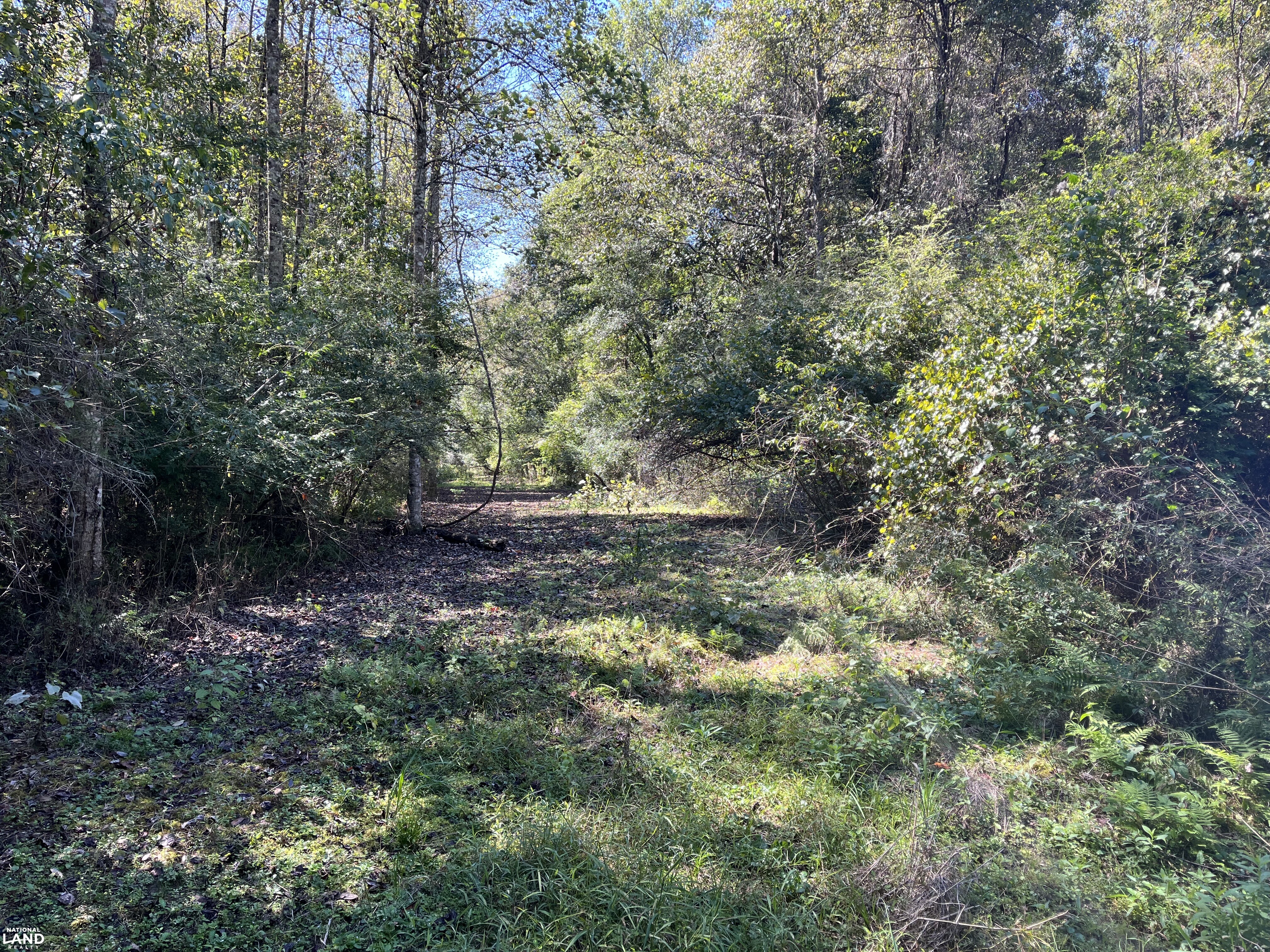Webb Road Mini Farm or Rural Home Site in Houston County, Alabama (18 ...