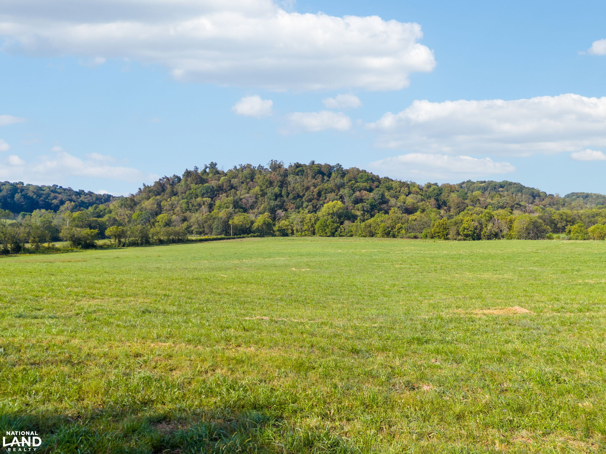 Shoal Creek Ridge Lot 4 in Giles County, Tennessee (12 Photos ...