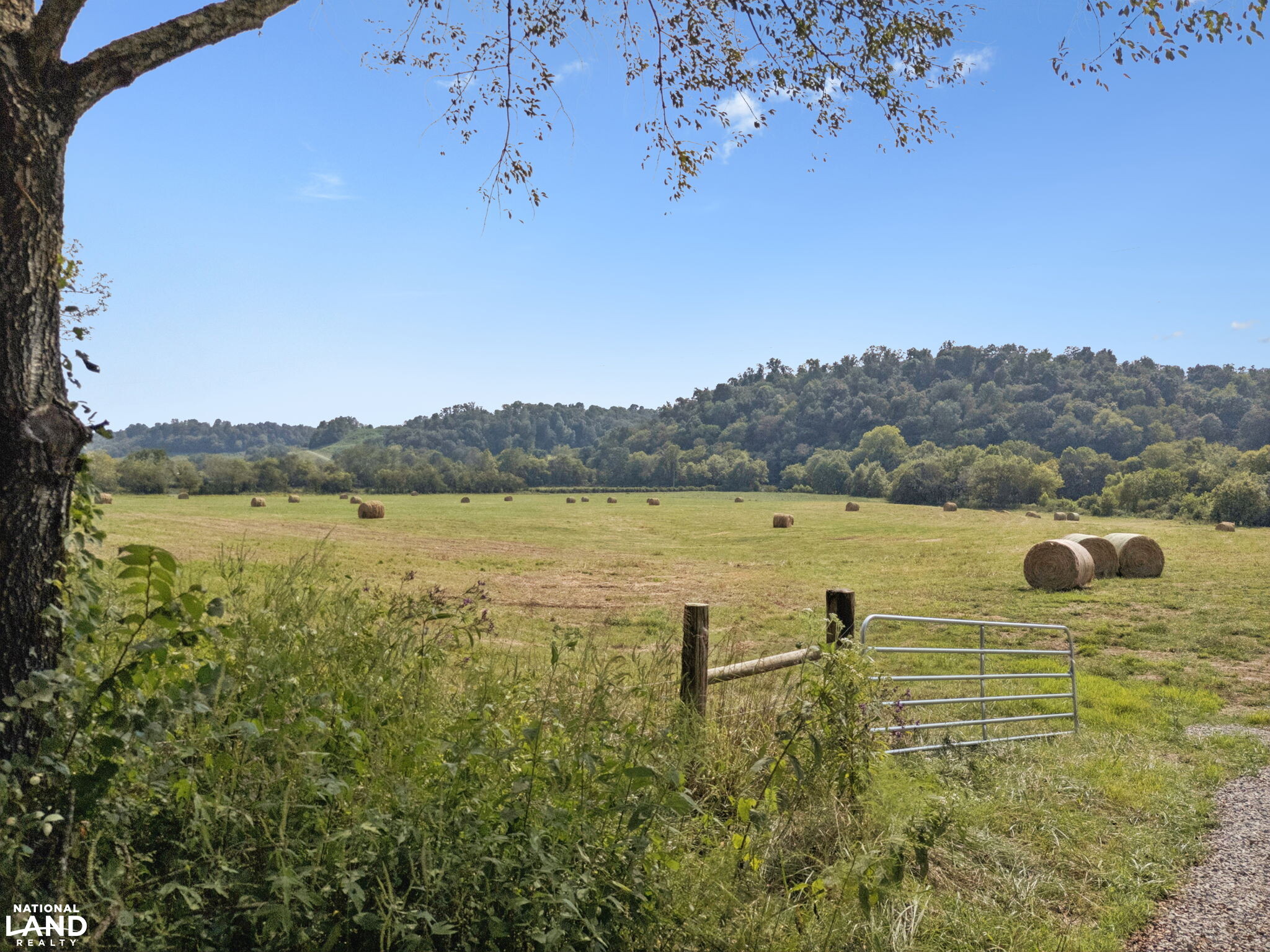 Shoal Creek Ridge Lot 4 in Giles County, Tennessee (12 Photos ...