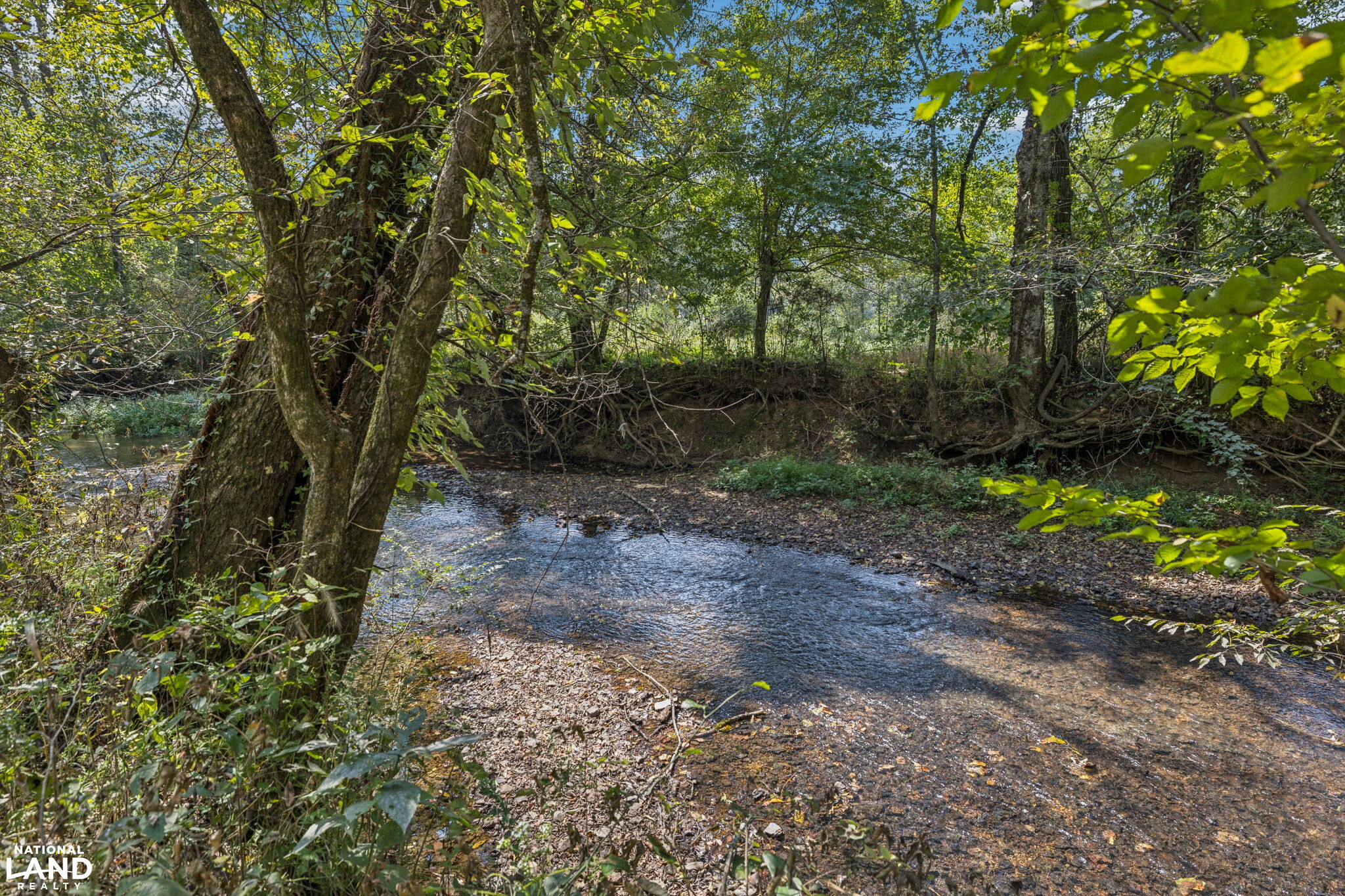 Shoal Creek Ridge Lot 4 in Giles County, Tennessee (12 Photos ...