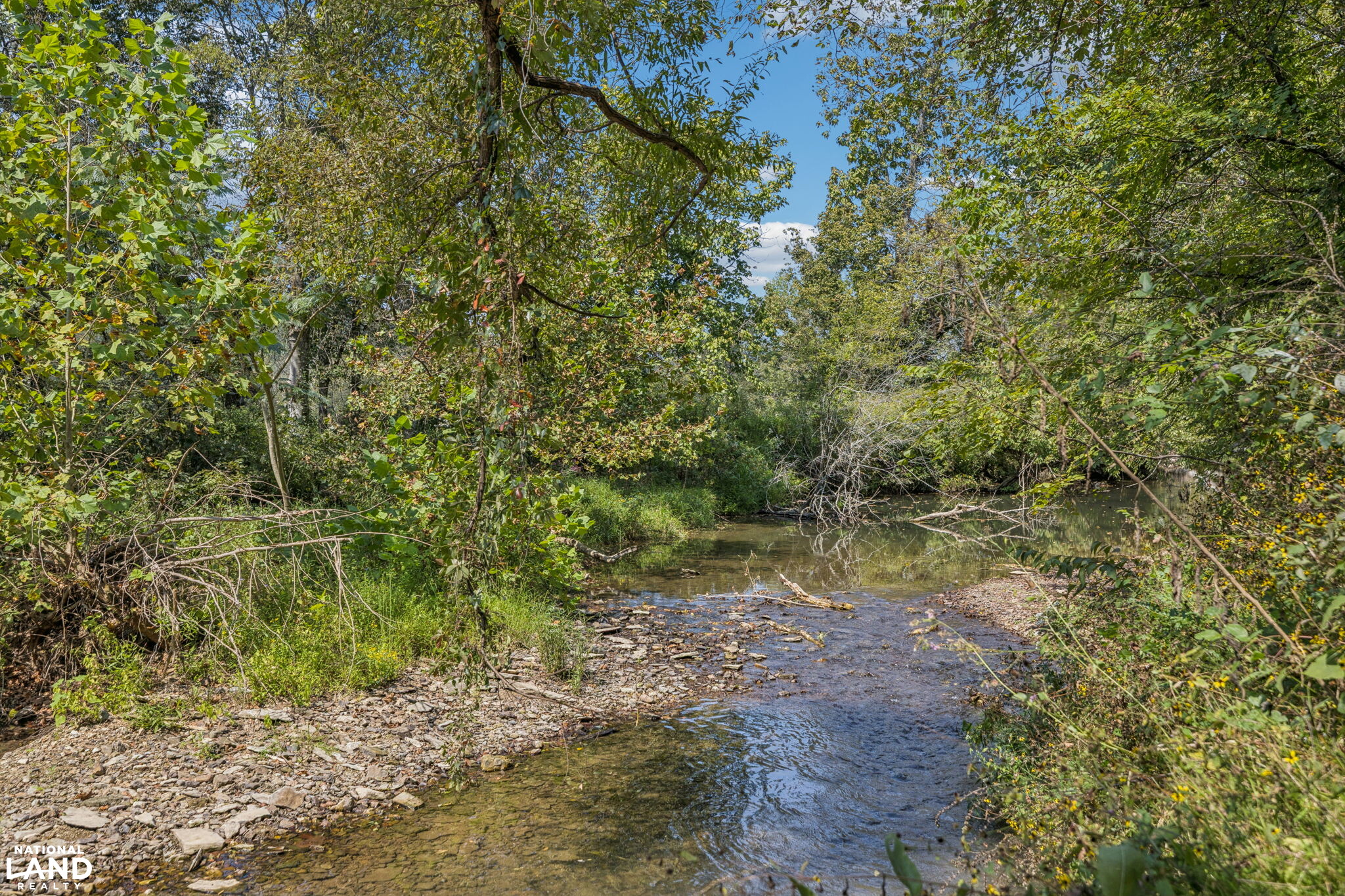 Shoal Creek Ridge Lot 4 in Giles County, Tennessee (12 Photos ...